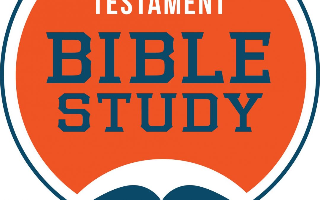 New Testament Bible Study