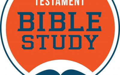 New Testament Bible Study